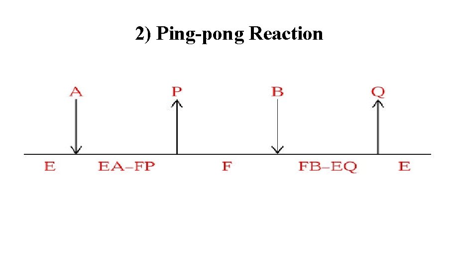 2) Ping-pong Reaction 