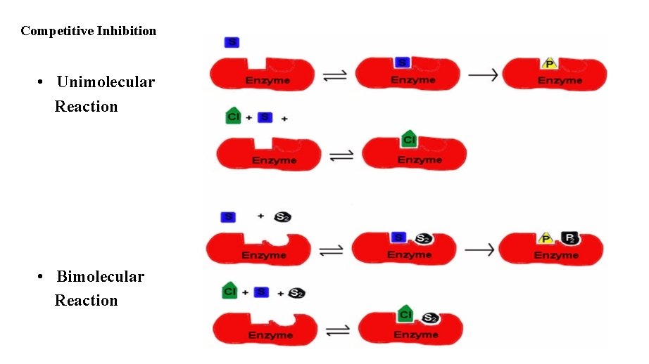 Competitive Inhibition • Unimolecular Reaction • Bimolecular Reaction 