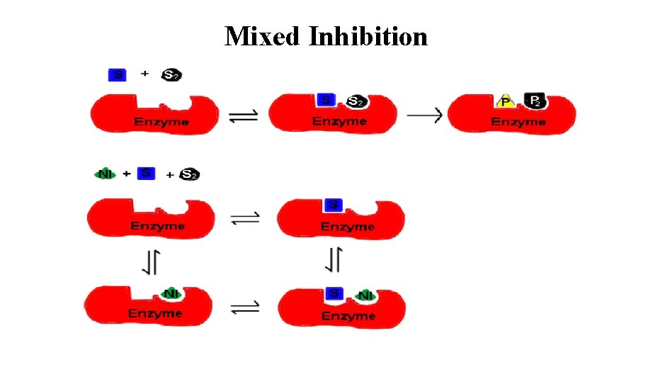 Mixed Inhibition 