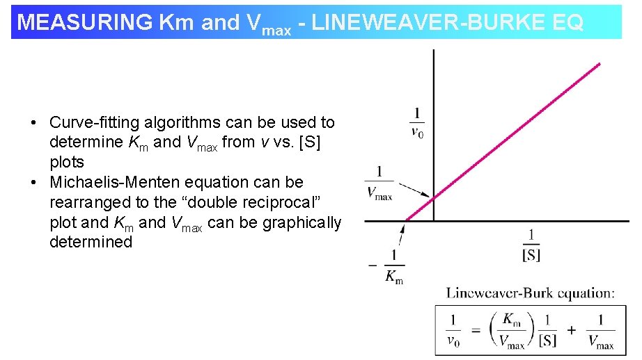 MEASURING Km and Vmax - LINEWEAVER-BURKE EQ • Curve-fitting algorithms can be used to