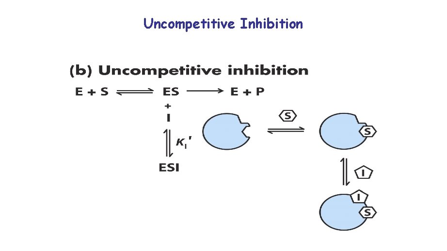 Uncompetitive Inhibition 