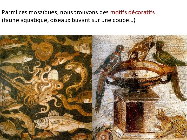 Parmi ces mosaïques, nous trouvons des motifs décoratifs (faune aquatique, oiseaux buvant sur une