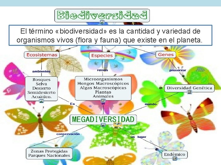 El término «biodiversidad» es la cantidad y variedad de organismos vivos (flora y fauna)