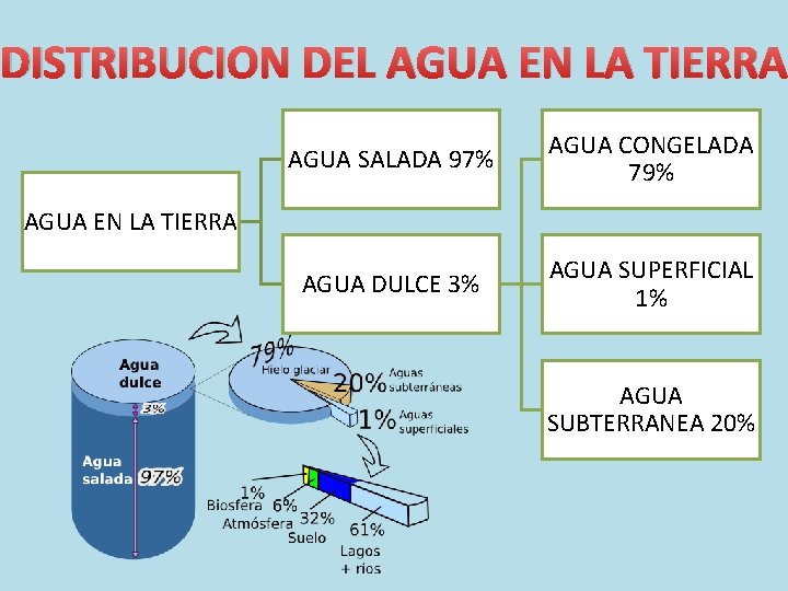 DISTRIBUCION DEL AGUA EN LA TIERRA AGUA SALADA 97% AGUA CONGELADA 79% AGUA DULCE