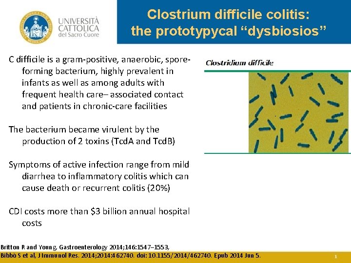 Clostrium difficile colitis: the prototypycal “dysbiosios” C difficile is a gram-positive, anaerobic, sporeforming bacterium,