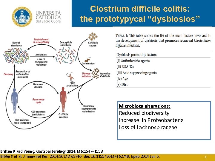 Clostrium difficile colitis: the prototypycal “dysbiosios” Microbiota alterations: Reduced biodiversity Increase in Proteobacteria Loss