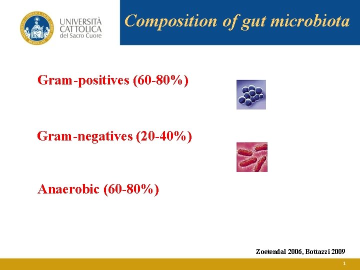 Composition of gut microbiota Gram-positives (60 -80%) Gram-negatives (20 -40%) Anaerobic (60 -80%) Zoetendal