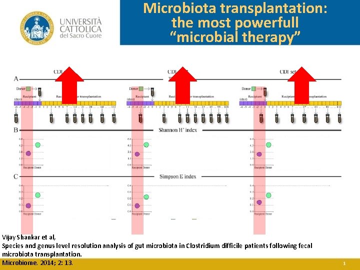 Microbiota transplantation: the most powerfull “microbial therapy” Vijay Shankar et al, Species and genus