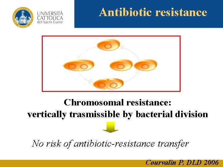 Antibiotic resistance Chromosomal resistance: vertically trasmissible by bacterial division No risk of antibiotic-resistance transfer