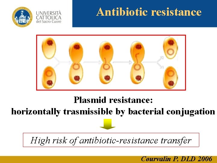 Antibiotic resistance Plasmid resistance: horizontally trasmissible by bacterial conjugation High risk of antibiotic-resistance transfer