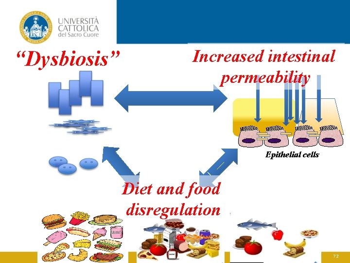 “Dysbiosis” Increased intestinal permeability Epithelial cells Diet and food disregulation 72 