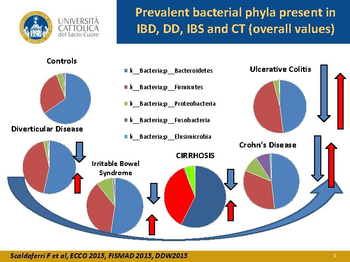 Prevalent bacterial phyla present in IBD, DD, IBS and CT (overall values) Controls k__Bacteria;