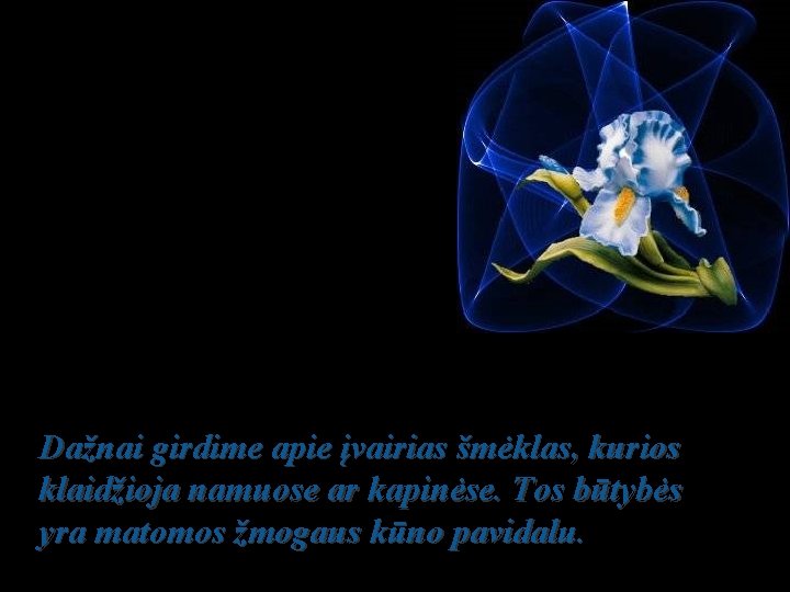 Dažnai girdime apie įvairias šmėklas, kurios klaidžioja namuose ar kapinėse. Tos būtybės yra matomos