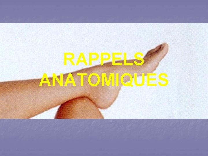 RAPPELS ANATOMIQUES 