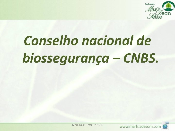 Conselho nacional de biossegurança – CNBS. Marli Deon Sette - 2012. 1 