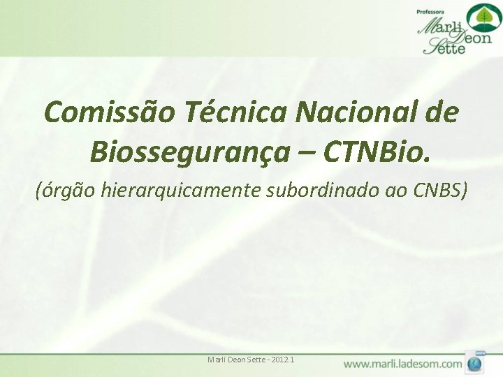 Comissão Técnica Nacional de Biossegurança – CTNBio. (órgão hierarquicamente subordinado ao CNBS) Marli Deon Comissão Técnica Nacional de Biossegurança – CTNBio. (órgão hierarquicamente subordinado ao CNBS) Marli Deon