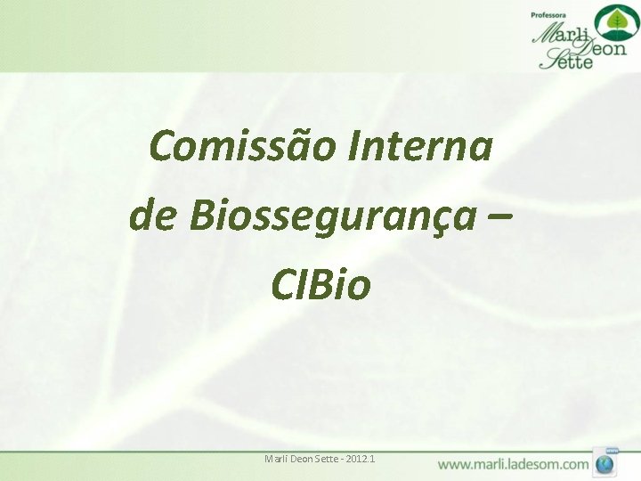 Comissão Interna de Biossegurança – CIBio Marli Deon Sette - 2012. 1 