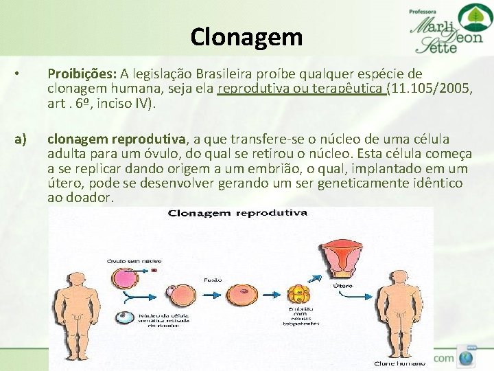 Clonagem • Proibições: A legislação Brasileira proíbe qualquer espécie de clonagem humana, seja ela