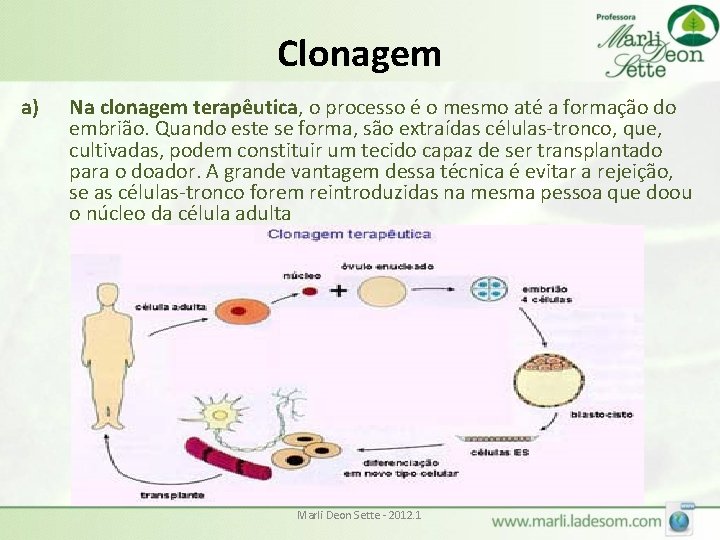 Clonagem a) Na clonagem terapêutica, o processo é o mesmo até a formação do