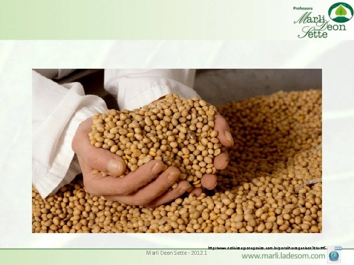 Marli Deon Sette - 2012. 1 http: //www. noticiasagronegocios. com. br/portal/transgenicos? start=5 Marli Deon Sette - 2012. 1 http: //www. noticiasagronegocios. com. br/portal/transgenicos? start=5