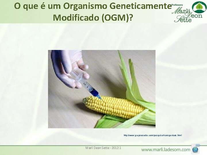 O que é um Organismo Geneticamente Modificado (OGM)? http: //www. grupoescolar. com/pesquisa/transgenicos. html Marli