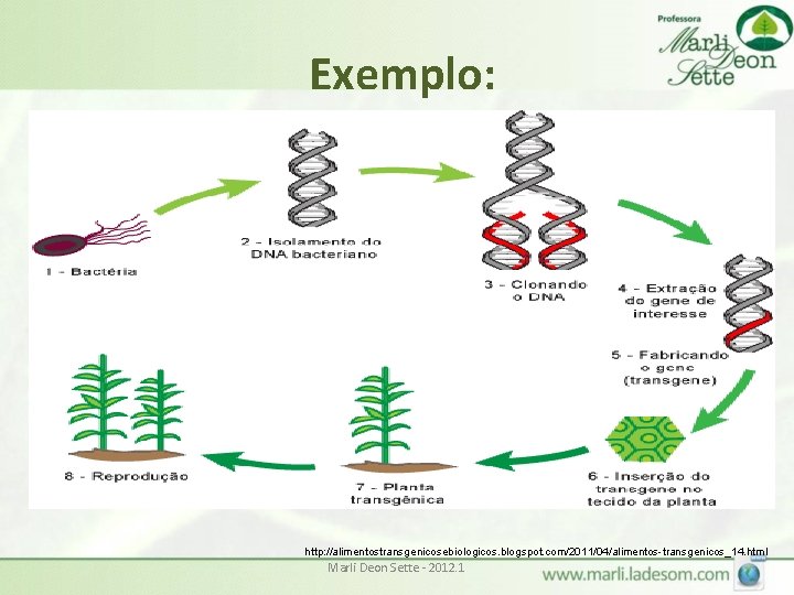 Exemplo: http: //alimentostransgenicosebiologicos. blogspot. com/2011/04/alimentos-transgenicos_14. html Marli Deon Sette - 2012. 1 