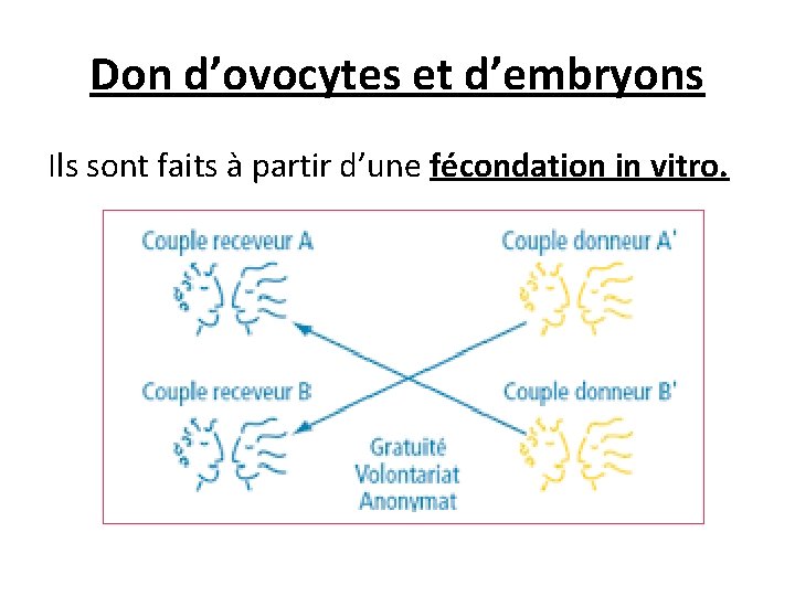 Don d’ovocytes et d’embryons Ils sont faits à partir d’une fécondation in vitro. 