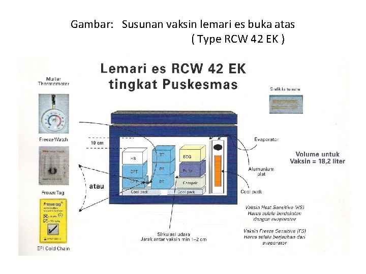 Gambar: Susunan vaksin lemari es buka atas ( Type RCW 42 EK ) 