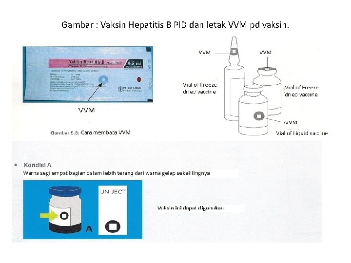 Gambar : Vaksin Hepatitis B PID dan letak VVM pd vaksin. 