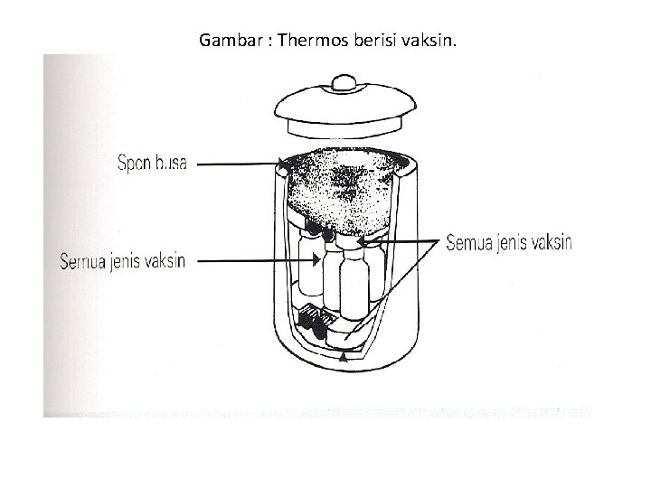  Gambar : Thermos berisi vaksin. 