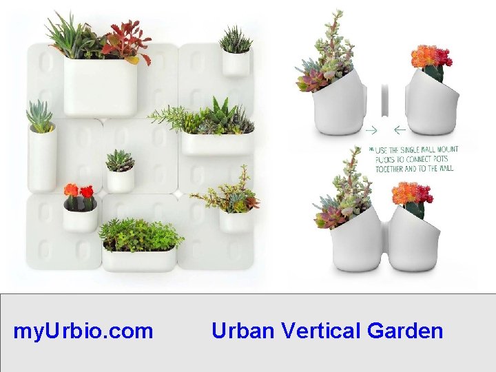 my. Urbio. com Urban Vertical Garden 