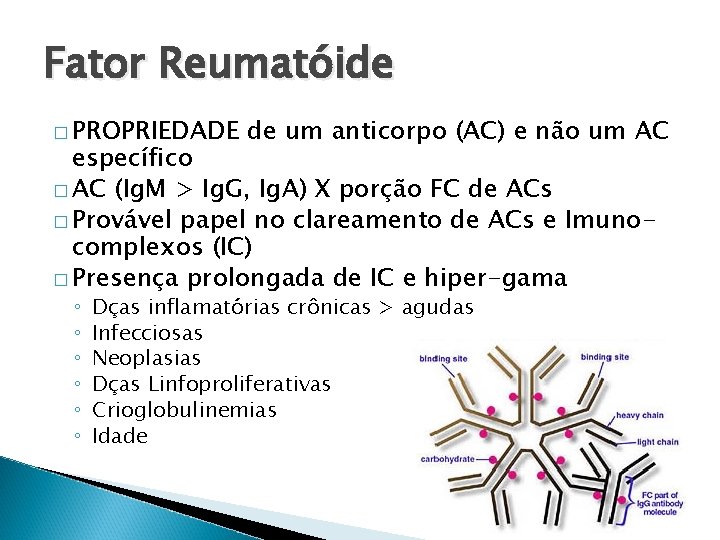 Fator Reumatóide � PROPRIEDADE de um anticorpo (AC) e não um AC específico �