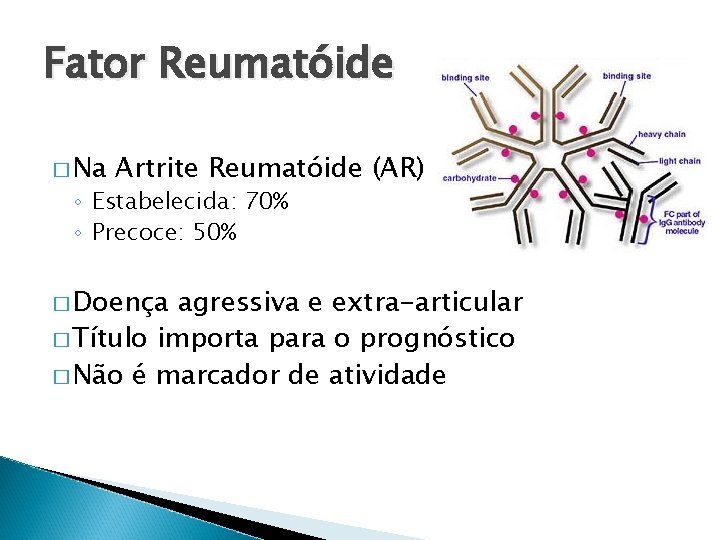 Fator Reumatóide � Na Artrite Reumatóide (AR) ◦ Estabelecida: 70% ◦ Precoce: 50% �