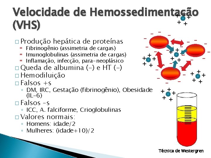 Velocidade de Hemossedimentação + ++ + + (VHS) � Produção hepática de proteínas Fibrinogênio
