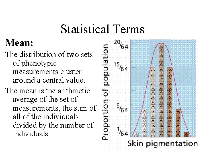 Statistical Terms Mean: The distribution of two sets of phenotypic measurements cluster around a