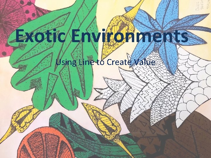 Exotic Environments Using Line to Create Value 