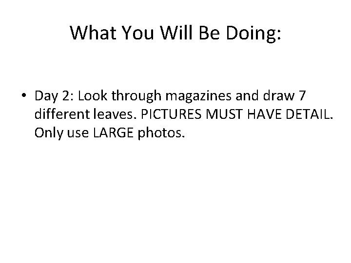 What You Will Be Doing: • Day 2: Look through magazines and draw 7