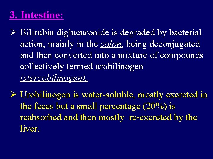 3. Intestine: Ø Bilirubin diglucuronide is degraded by bacterial action, mainly in the colon, 3. Intestine: Ø Bilirubin diglucuronide is degraded by bacterial action, mainly in the colon,