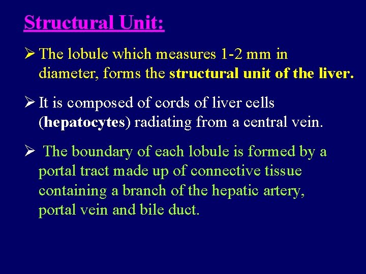 Structural Unit: Ø The lobule which measures 1 -2 mm in diameter, forms the Structural Unit: Ø The lobule which measures 1 -2 mm in diameter, forms the