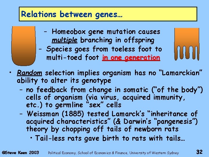 Relations between genes… – Homeobox gene mutation causes multiple branching in offspring – Species