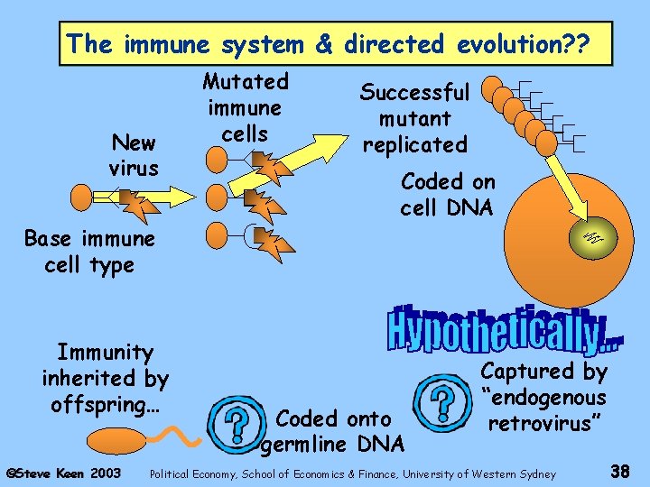 The immune system & directed evolution? ? New virus Mutated immune cells Successful mutant