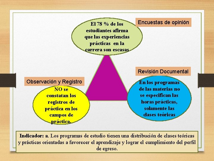 El 78 % de los estudiantes afirma que las experiencias prácticas en la carrera