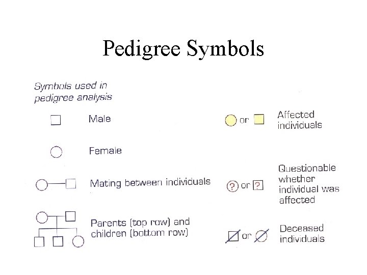 Pedigree Symbols 