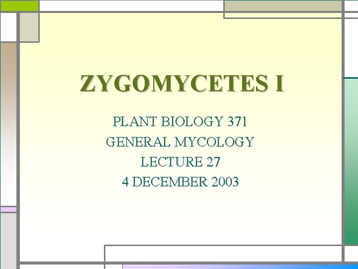 ZYGOMYCETES I PLANT BIOLOGY 371 GENERAL MYCOLOGY LECTURE 27 4 DECEMBER 2003 