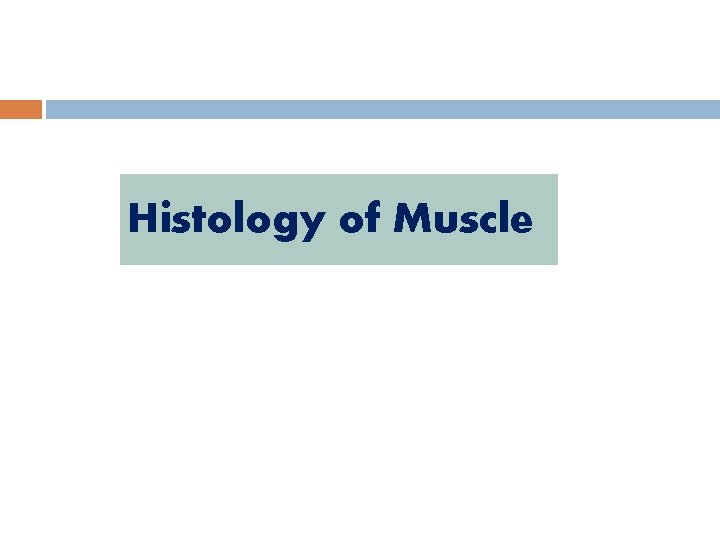 Histology of Muscle 