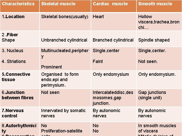 Characteristics Skeletal muscle 1. Location Skeletal bones(usually) Heart Hollow viscera, trachea, bron chi… 2.