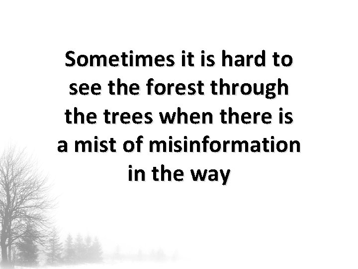Sometimes it is hard to see the forest through the trees when there is