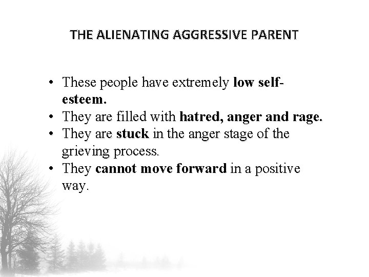 THE ALIENATING AGGRESSIVE PARENT • These people have extremely low selfesteem. • They are