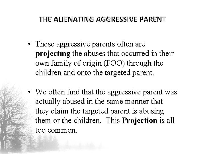 THE ALIENATING AGGRESSIVE PARENT • These aggressive parents often are projecting the abuses that
