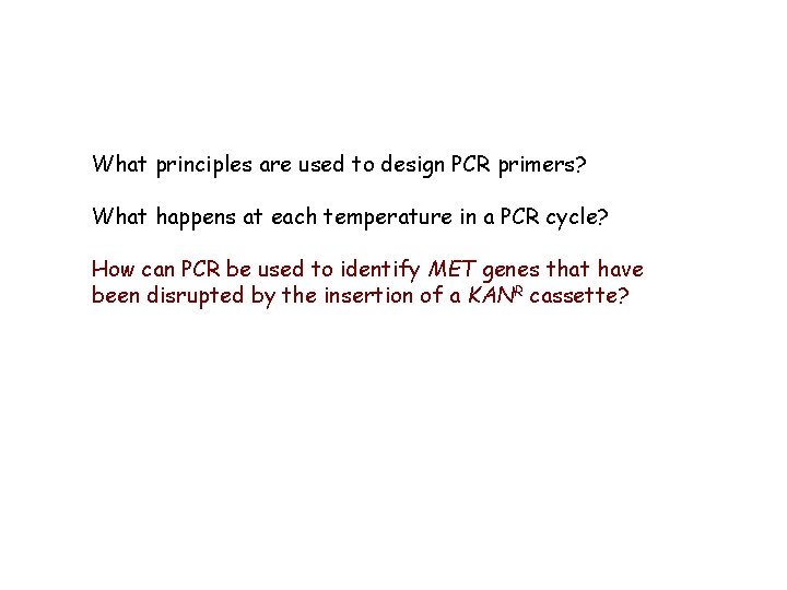 What principles are used to design PCR primers? What happens at each temperature in